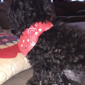 Meet your Posher, Maggie